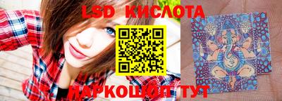 PSILOCYBIN Кимры
