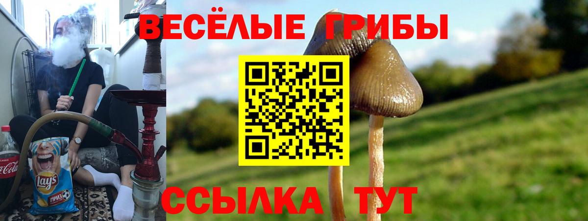 Лениногорск  Галлюциногенные грибы MAGIC MUSHROOMS  Вход с VPN 